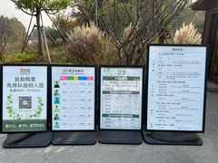 -东平国家森林公园