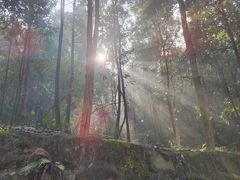 -老君山