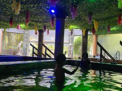 -花水湾第一村温泉大酒店