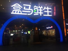 门面-盒马鲜生(曜一城店)
