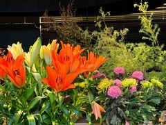 -Ameigo梅果·云贵川bistro(长宁来福士店)