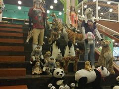 -Behring World of Animals(上海自然博物馆店)