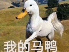 -红星美凯龙(上海沪南店)