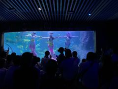-左海海底世界