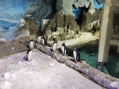 -成都浩海立方海洋公园