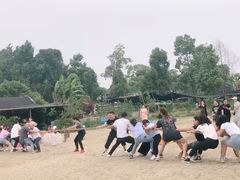 -秀丽东方