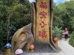 -清境桃源