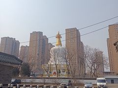 -护国法轮寺