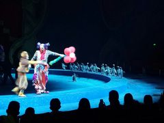 -珠海横琴长隆《卡卡虎奇遇记》