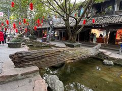 -黄龙溪古镇