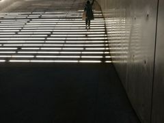 -神仙雪浓汤(明洞店)
