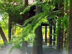 -东湖落雁景区