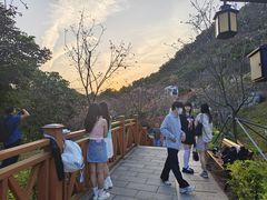 -小南山公园