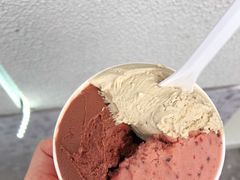 -Dip in Gelato(富民路店)