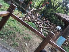 -杭州少年儿童公园