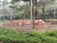 -石家庄市动物园