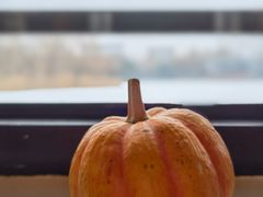 -三忘湖 SWANSEEN(柳荫公园店)