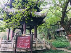 -峨眉山报国寺