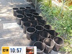 -渝大龙重庆火锅(温泉月亮湾店)