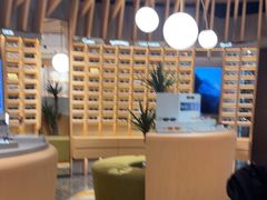 -溥仪零一零眼镜(上海K11艺术中心店)