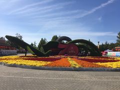 -大兴滨河森林公园