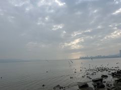 -深圳湾公园(南山区)