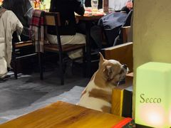 -Secco德式餐吧(南秀村店)