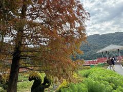 -广州市石门国家森林公园