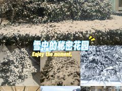 -田村(地铁站)