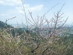 -德胜岩景区