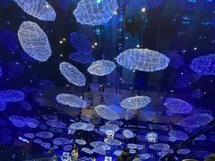 -盒马X会员店(上海森兰商都店)