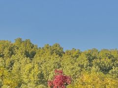 -艾溪湖湿地公园