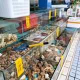 【深圳海鲜超市】现捞现杀生猛海鲜，人来人往批发档口