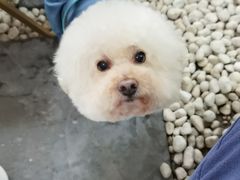 -欧邑咖啡小站 HLab Coffee