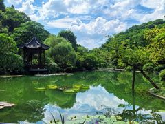 -云溪植物园
