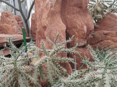 -南通洲际绿博园