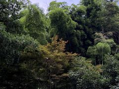 -杭州黄龙洞