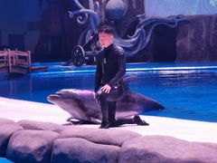 -华夏文旅海洋公园