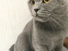 -皆道拌麻辣烫·麻辣拌