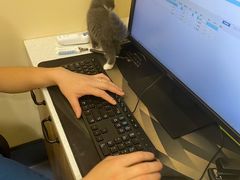 -萌兽医馆·犬猫专科·眼科中心·宠物医院(朝阳门分院)