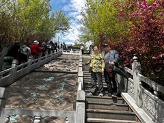 -爱新觉罗皇家博物院