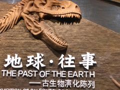 -柳州白莲洞洞穴科学博物馆