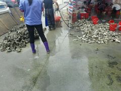 -蚝专家(北滘店)