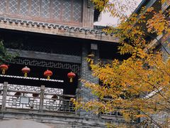 -武汉园博园(武汉自然博物馆)