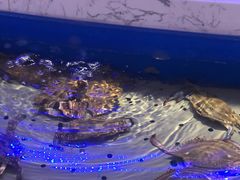 -澜悦港海鲜体验主题餐厅