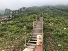 -灵山