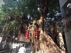 -小洲村