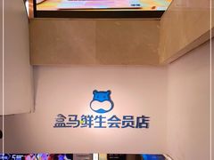 -盒马鲜生(大成店)