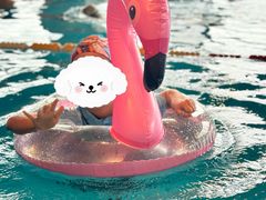 -成都蒲江花样年福朋喜来登度假酒店·宜客乐西餐厅