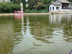 -团结湖公园